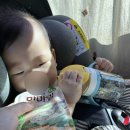 매일유업 모악유통 대리점 | 육아꿀템 실온이유식 맘마밀/맘마짱 내돈내산