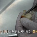 해븐 이미지