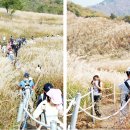 포천 명성산 억새풀 축제 산행 이미지