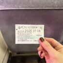 3458 | 시즈오카 3박4일여행, 3일차 “시즈오카역에서 슈젠지 가는법” 미니패스권 3일권 사용후기