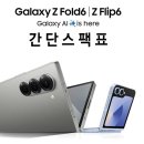 플립 티스토리