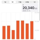 야사시스시 | 🇯🇵 영애와 나고야 시티 (4)