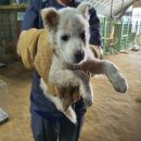 방곡 마을회관 이미지