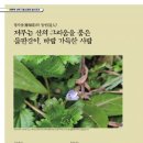 송인정보 이미지