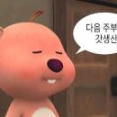 쇼촬땐 이미지