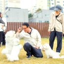 꼬똥사파이어 | 꼬똥사파이어 &#39;24 가족모임 후기