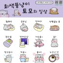 토모토모