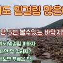 무의도 이러니 밑걸림이 많을 수밖에 무의도 루어낚시 가려면 이거보고가자 이미지