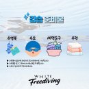 트리비앙(아)경로당 | 친절하고 안전하게 가르쳐주는 창원 프리다이빙 체험 추천 창원 화이트프리다이빙