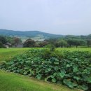 논산관광농원 이미지