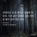 호랑이파이 이미지