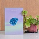 드림피프티 | 시선으로부터 정세랑, 하와이에서 시작된 특별한 제사