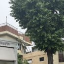 갤러리101식당 이미지