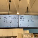 개와커피가썸타는날(개썸커피) 이미지