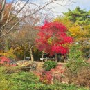 파로호의아침 | 🌄 별빛 아래 시작된 몽환적인 산행, 양구 봉화산 일출과 파로호의 아침!
