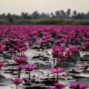 명품행정사 사무소 이미지