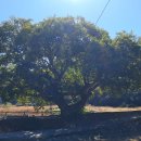 시락마을회관 이미지