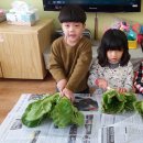 약목초교(병설) 이미지