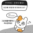한양석사체육관 | [텍사스 오스틴 - 18] Summer Break (08.06~08.17)