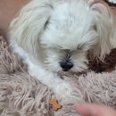 (주)비엔에스플러스 이미지