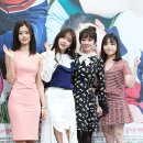 단짝단짝 이미지