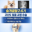 튼튼동물병원 - 용인시 기흥구 죽현로 29 | 튼튼동물병원