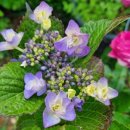 엄마의 마음 이미지