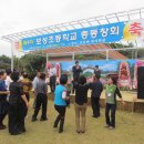 보성초등학교 이미지