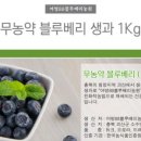 아침에 신선목장 이미지