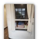 서귀포미친게스트하우스파티 이미지