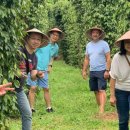 다우 농장 이미지