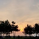 항도회센타 이미지