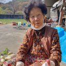 태형건업 이미지