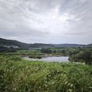 금호강변로 이미지