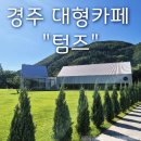 애지중지애견카페 | F. 경주 잔디가 있는 대형카페 애견동반가능 카페 "텀즈" 솔직후기