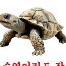 도약로 112 네이버블로그