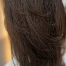헤어포커스 네이버블로그