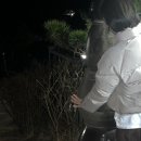 메종드하동