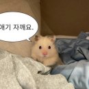 연희샵 이미지