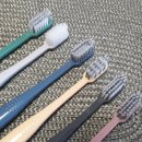 올쏘플러스 이미지