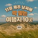은빛 비치는 돌 | 11월 제주도 가볼만한곳 10곳 여행코스