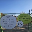 오전2세천 | ​대구 아이와 가볼만한곳 추천! 봄꽃 알록달록 튤립 천국 '세천늪테마정원' 나들이