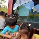 은하자연어린이집 이미지