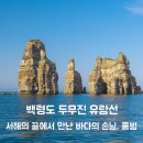 영어조합법인 바다의 아침 | 서해의 끝에서 만난 바다의 손님 — 백령도 두무진 유람선과 잔점박이 물범 (연평여행사)
