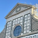 1585 | 이탈리아 신혼여행 코스 추천 토스카나 와이너리투어 후기(마이리얼트립 내돈내산)