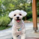 (주)아이엔비 이미지