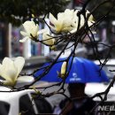 내일날씨 이미지