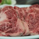 돈우식당 이미지