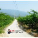 하강마을회관 이미지