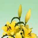 그린종묘농약사 이미지